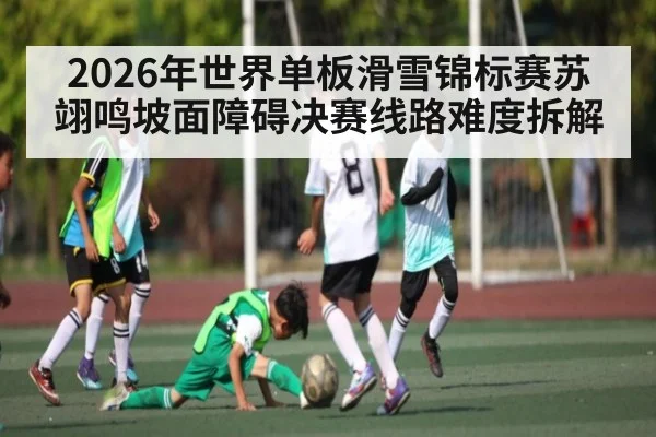 2026年世界单板滑雪锦标赛苏翊鸣坡面障碍决赛线路难度拆解